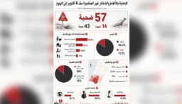 موتٌ إسرائيلي مؤجّل يحاصر الجنوب: 57 ضحية للألغام والذخائر غير المنفجرة (زينب حمود – الأخبار)