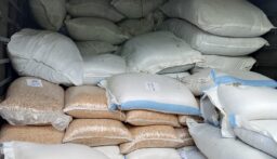 الجمارك اللبنانية تضبط مواد غذائية وسكاكر ومشروبات غازية مهرّبة في بيروت وصيدا(فيديو + صور)