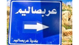 أهالي عربصاليم شكروا الرئيس عون على اهتمامه بأهل الجنوب