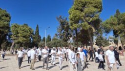 يتقدمهم بن غفير وكاتس.. ارتفاع عدد المستوطنين المقتحمين للاقصى إلى نحو 1271
