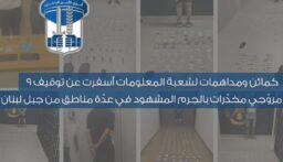 كمائن ومداهمات.. توقيف 9 مروّجي مخدّرات بالجرم المشهود في عدّة مناطق من جبل لبنان