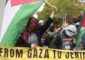 قاضية أميركية ترفض دعوى وزارة العدل ضد منظمات ومحتجين مناصرين للفلسطينيين