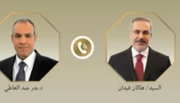 اتصال هاتفي بين وزير خارجية مصر ونظيره التركي