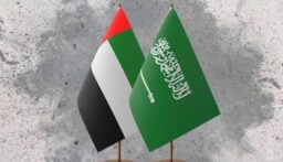 رئيس دولة الإمارات استقبل وزير الدفاع السعودي وتبادلا الرؤى تجاه مستجدات الأحداث التي تشهدها المنطقة