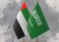 رئيس دولة الإمارات استقبل وزير الدفاع السعودي وتبادلا الرؤى تجاه مستجدات الأحداث التي تشهدها المنطقة