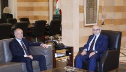 بو صعب عرض التطورات مع رئيس الحكومة في السراي