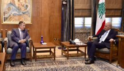 بري تابع التطورات مع امين عام جامعة الدول العربية…فهمي: الاحتلال الإسرائيلي والاعتداء على لبنان مرفوض