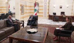 المشاريع والبرامج التي تنفذها وكالات الأمم المتحدة في الجنوب…على طاولة بحث سلام ريزا